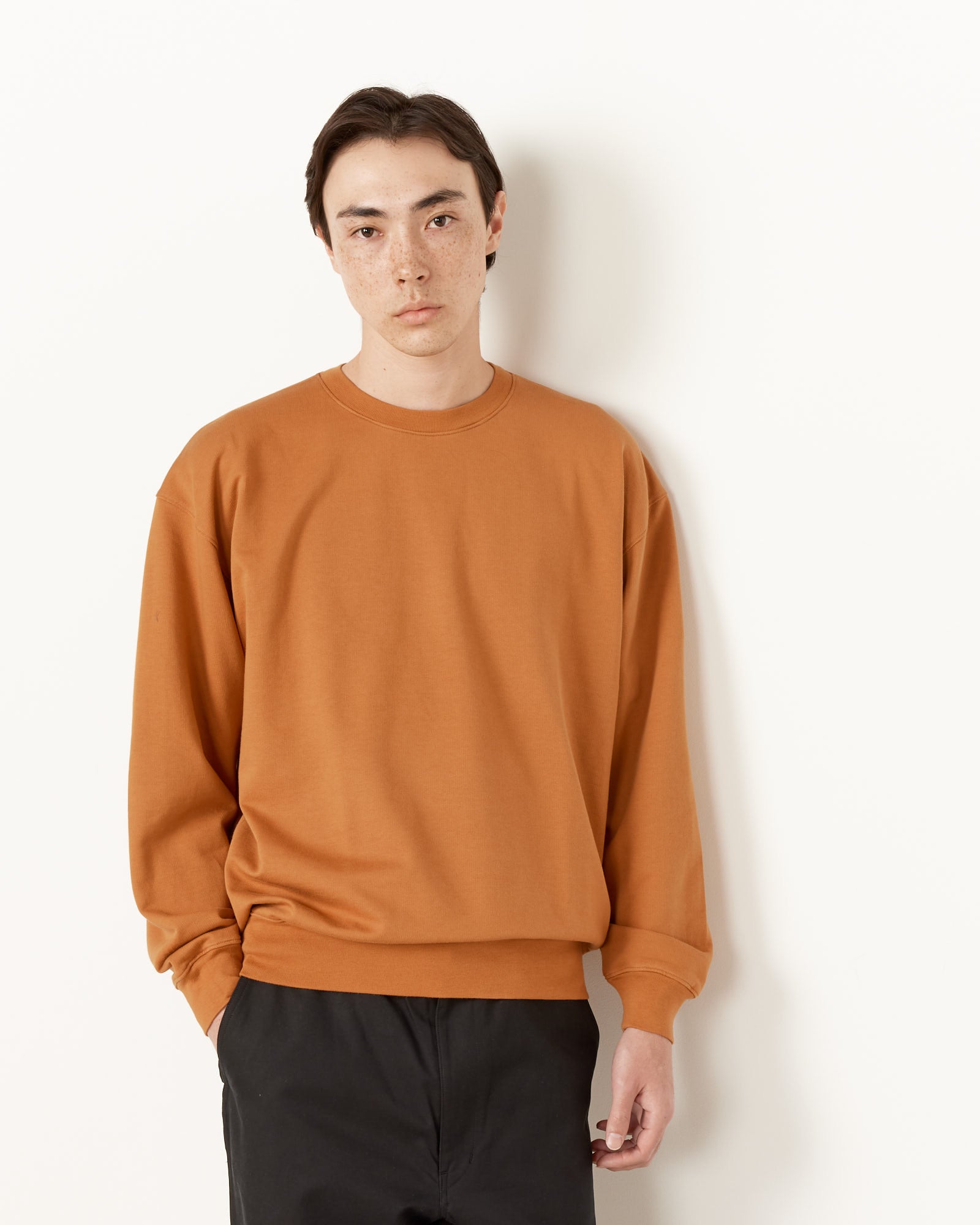 Auralee Super Gauze Sweat Pullover Light Brown - Light Brown / 4 (255377)