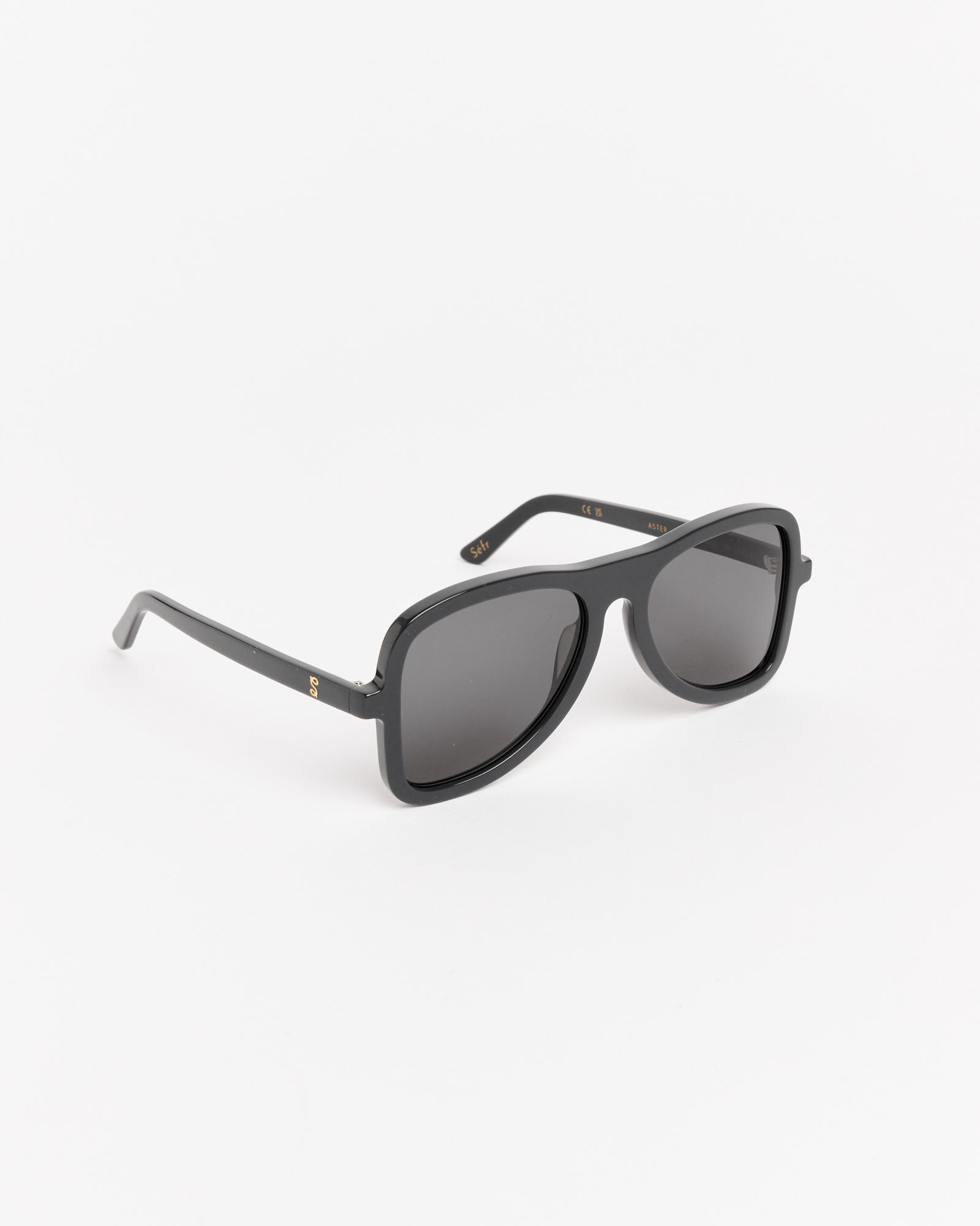 Aster Sunglasses in Black - Black / OS (256861)