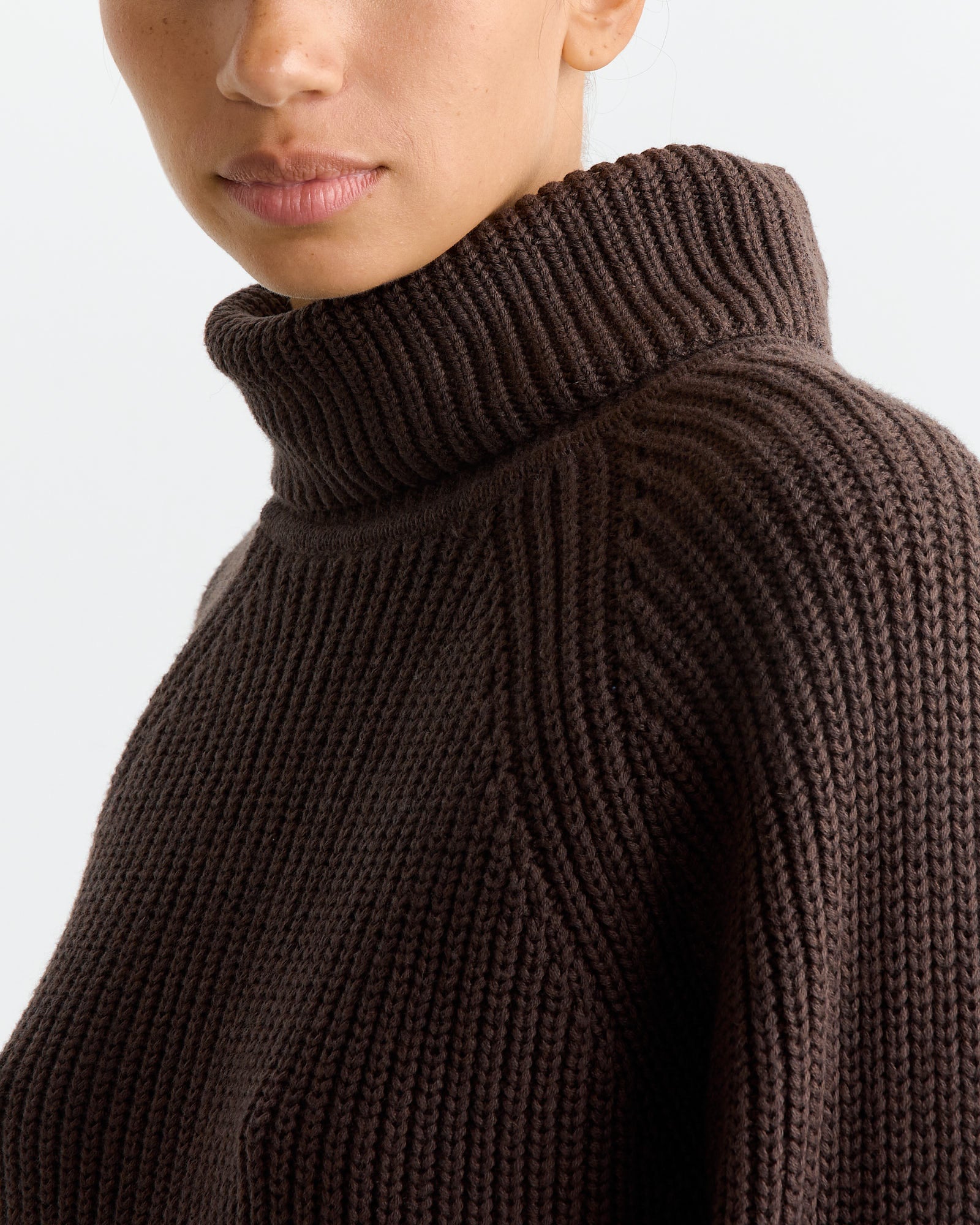 Chelsea Turtleneck in Chocolate