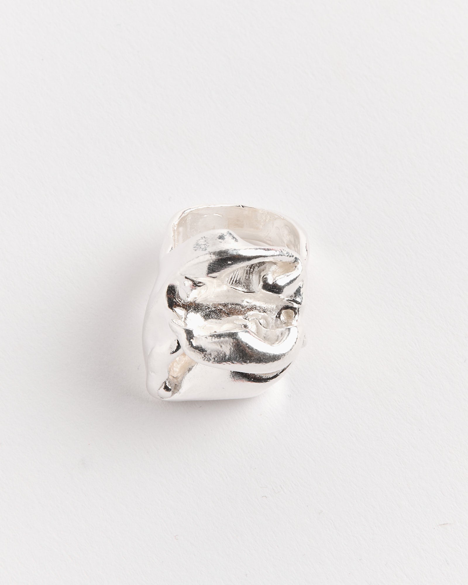 Rodeo Ring in Silver - Silver / 7 (267432)